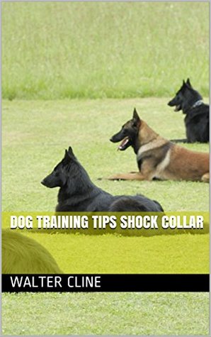 shock collar dog training tips