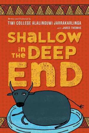 Shallow In The Deep End (Paperback)