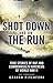 Shot Down and on the Run: True Stories of RAF and Commonwealth Aircrews of WWII