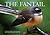 The Fantail by Neil Page
