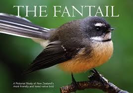 The Fantail