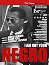 I Am Not Your Negro