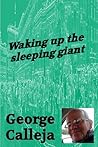 waking up the sleeping giant