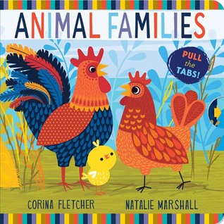 Animal Families (Board Book)