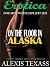 Erotica For Men With Explicit Sex by Alexis Texass