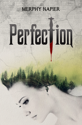 Perfection (Paperback)