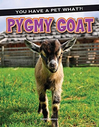Pygmy Goat (You Have a Pet What?!)