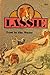 Lassie: Lost in the Snow (Lassie)