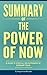 Summary of The Power of Now...