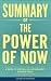 Summary of the Power of Now...