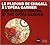 The Opera Garnier Ceiling: Marc Chagall's Controversial Masterpiece 1964/2014 (English and French Edition)