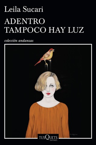 Adentro tampoco hay luz (Paperback)
