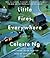 Little Fires Everywhere by Celeste Ng