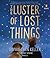 The Luster of Lost Things by Sophie Chen Keller