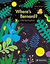 Where's Bernard?: A Bat Spotting Book