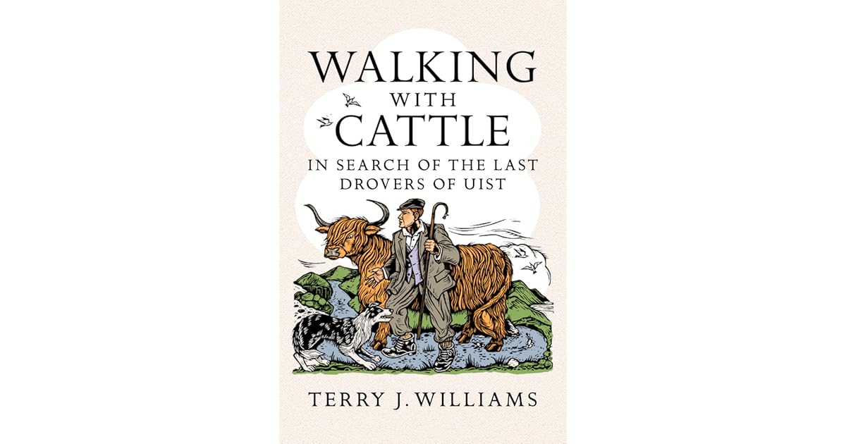 Walking With Cattle In Search Of The Last Drovers Of Uist - 