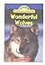 Wonderful Wolves (Science Vocabulary Readers)