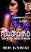 My Body His Playground 2 by Brie Tolbert