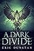 A Dark Divide (Phoenix #2)