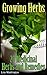 Growing Herbs by Lisa Washington