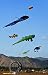 Kite Festival and Internati...