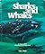 Sharks and whales