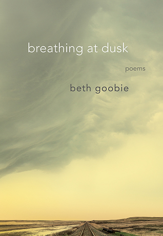 breathing at dusk (Paperback)
