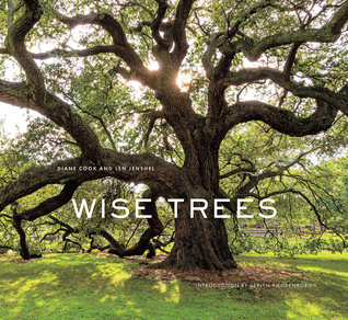Wise Trees (Hardcover)