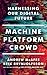 Machine, Platform, Crowd: Harnessing Our Digital Future