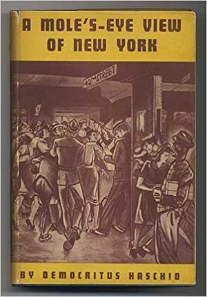 A Mole's-Eye View of New York (Hardcover)