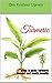 Turmeric: Steps to Make Tur...