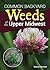 Common Backyard Weeds of the Upper Midwest