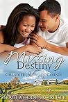 Missing Destiny: A Chandler County Novel