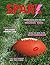 Spark Magazine August 2017:...