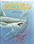 The Golden Book of Sharks and Whales