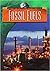 Fossil Fuels (Energy for the Future and Global Warming)
