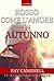 Rosso come l'amore in autunno by Fay Camshell