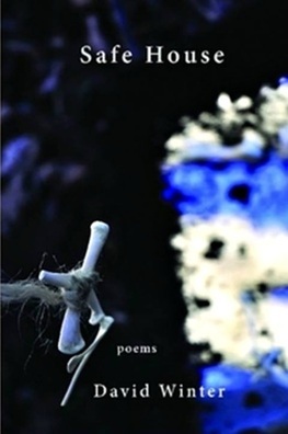 Safe House (Paperback)