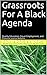 Grassroots For A Black Agenda: Quality Education, Equal Employment, and Criminal Justice Reform