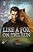 Like A Fox On the Run