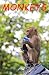 Photo book MONKEYS on the KHAO RANG, Phuket by Jessica Carter