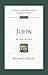 John: Revised Edition (IVP New Testament Commentary)