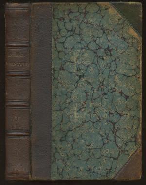 Animal Magnetism and Magnetic Lucid Somnambulism: With Observations and Illustrative Instances of Analogous Phenomena Occurring Spontaneously; And an Appendix of Corroborative and Correlative Observations and Facts (Hardcover)