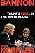 Bannon: Always the Rebel