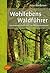 Wohllebens Waldführer: Tier...
