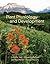 Plant Physiology and Development