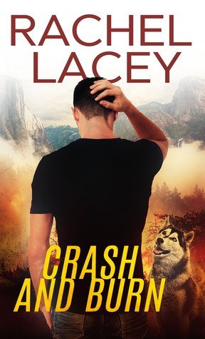 Crash and Burn (Kindle Edition)