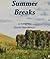 Summer Breaks: a novel