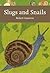 Slugs and Snails by Robert Andrew Duncan Cameron