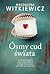 Ósmy cud świata by Magdalena Witkiewicz